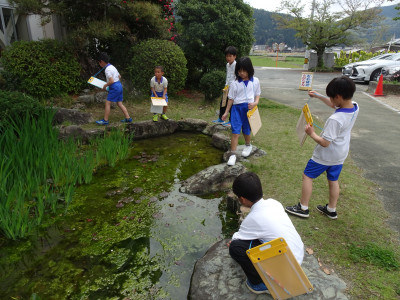 DSC04208