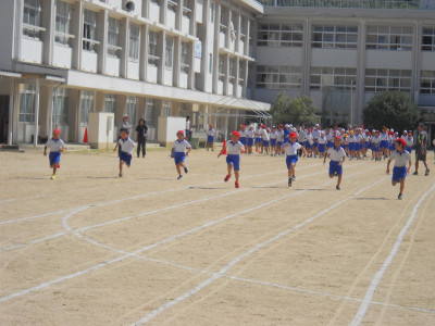 DSCN0219